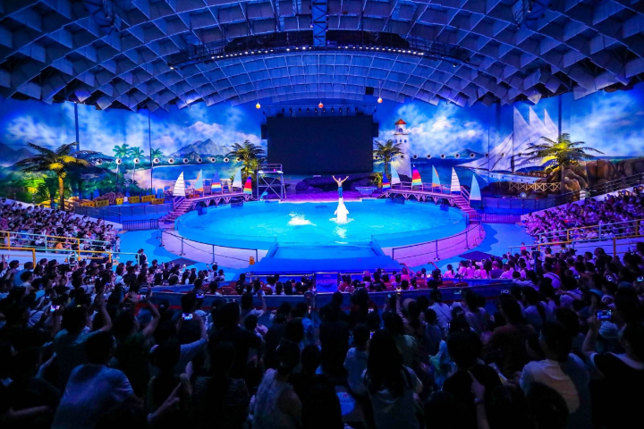 ‘Arctic whale magical night’ is back at Wuhan Polar Haichang Ocean Park