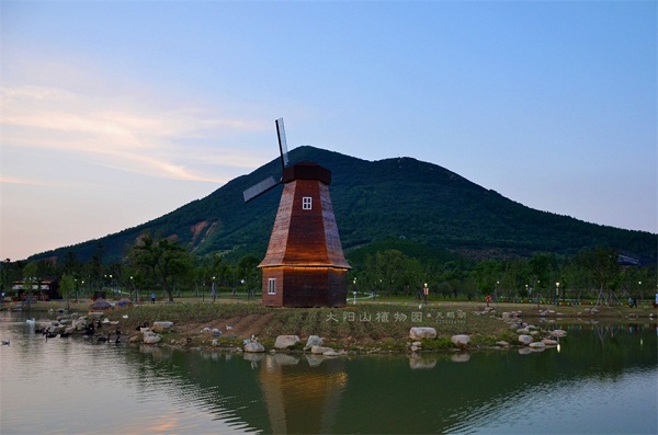 Dayangshan National Forest Park