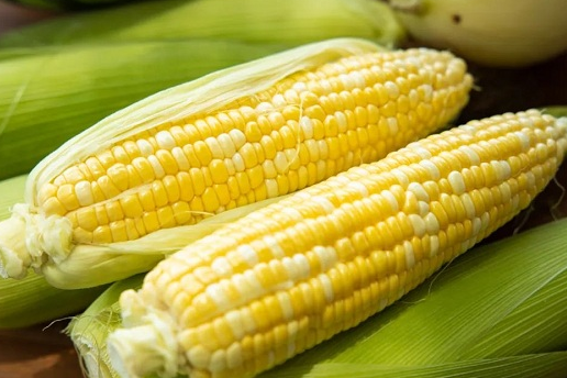 Hannan Sweet Corn