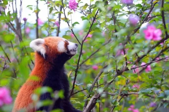 Jiufeng Forest Park