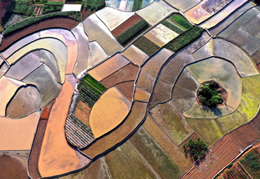 Guizhou fields turn into painter's palette