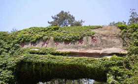 Hefei Wild Animal Park