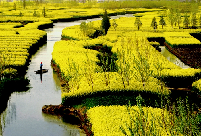 垛田风光（胡兆明摄）.jpg