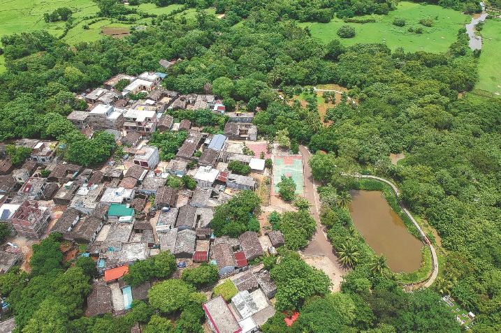 Fragrant flowers help lift tourism in village