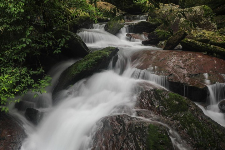 Fanjing mountain scenery brings crowds, attention