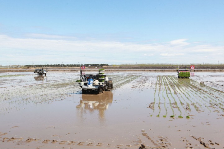 New technologies boost farming in Heilongjiang