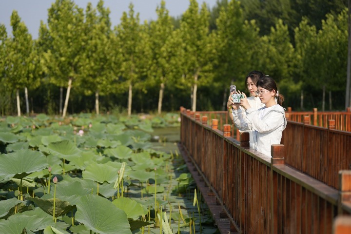 China is a world leader in rural tourism, says UNWTO senior official