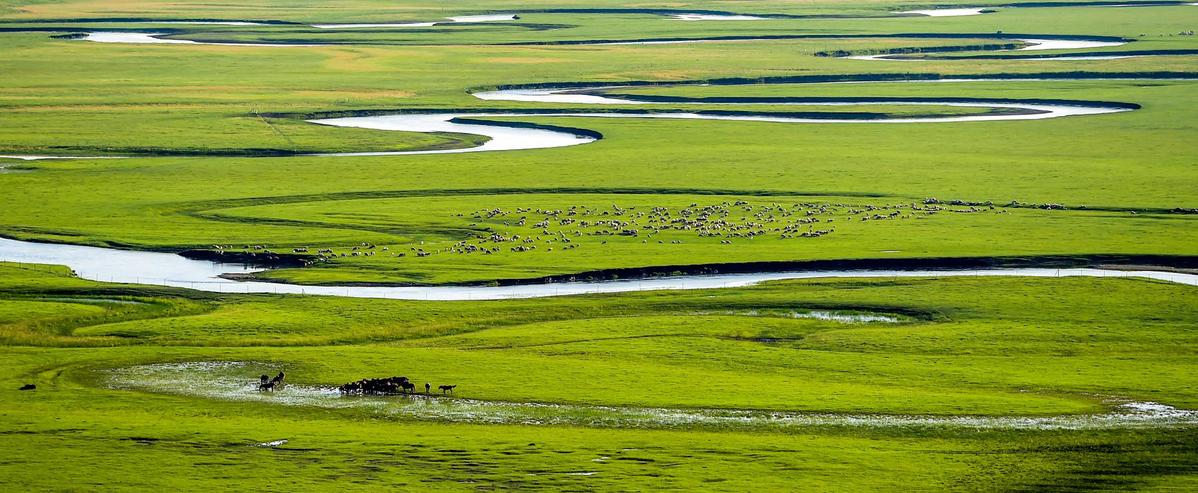 Inner Mongolia Grassland Cultural Festival kicks off