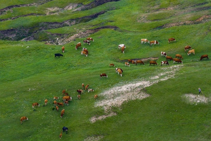 Enchanting autumn scene on an Inner Mongolia grassland