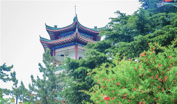 Get close to nature in Yantai