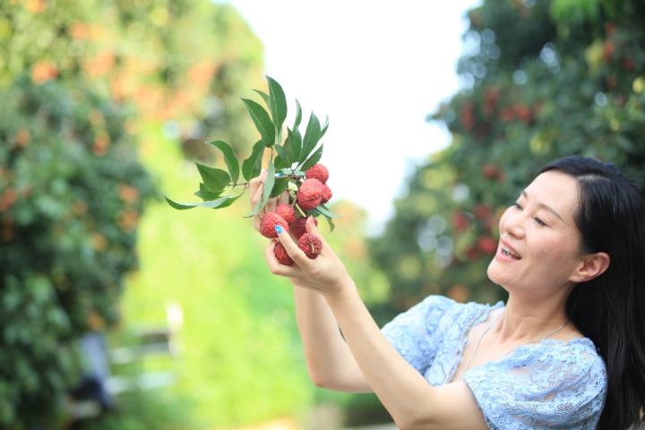 Guangdong's lychee exports up sharply in Q2