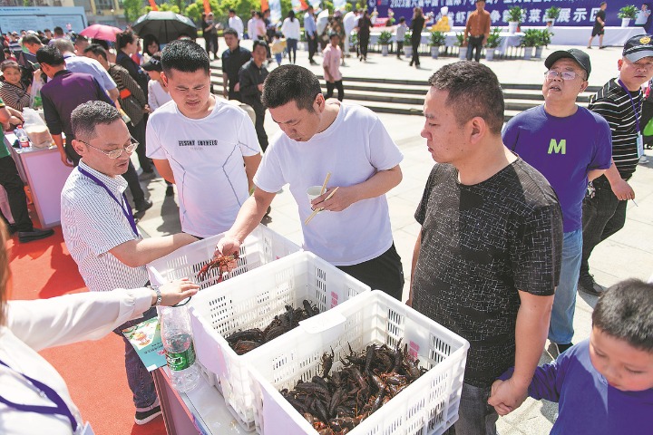 Rice, crawfish a winning combination for farmers