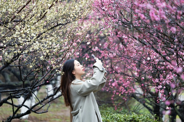 Booming culture, tourism inject new vigor into consumption in E China