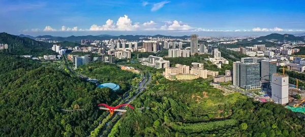 Huangpu achieves fixed assets investment of 100b yuan in H1