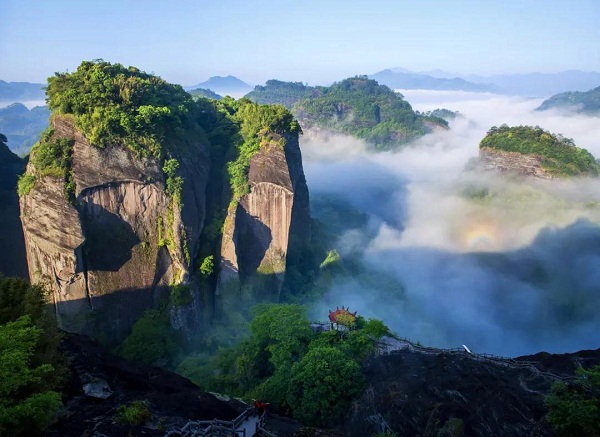 Wuyishan National Park aims to grow sustainable tea sector