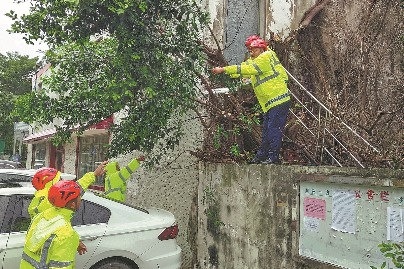 Typhoon Saola hits coastal Guangdong