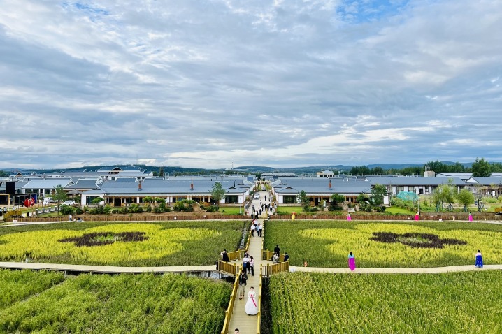 Paddy fields tourism yields profits for Heilongjiang's ethnic Koreans