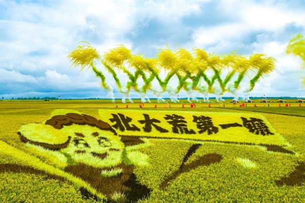 Autumn harvest begins in Heilongjiang