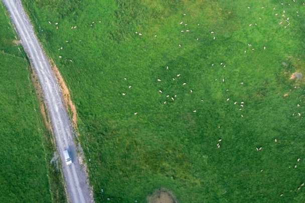 From barren to beautiful: Guizhou grassland restored