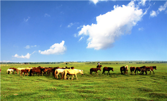 Subohan Grassland Scenic Area