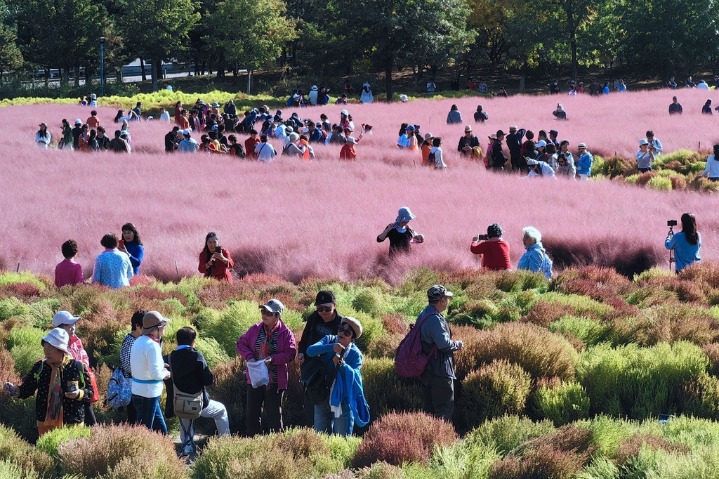 A kaleidoscope of colors at Beijing Olympic Forest Park