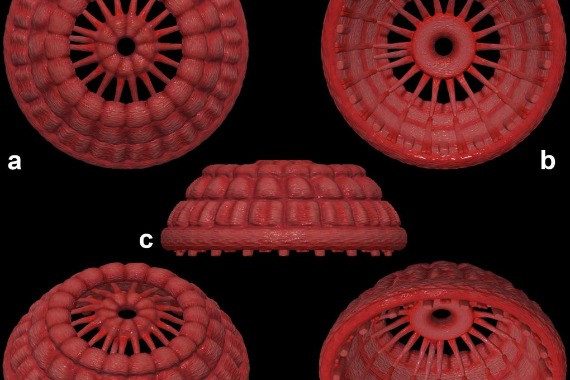 535-million-year-old animal microfossils with rare preserved muscle discovered in China