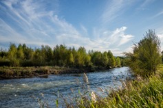 Shanxi marches towards greener, cleaner future