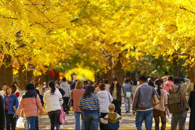 A fairy-tale autumn unfolds in Liaoning