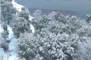 Nanhu Park turns into a white fairyland