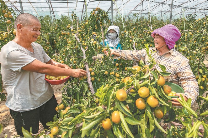 Shaanxi villagers enjoying the fruits of their labors