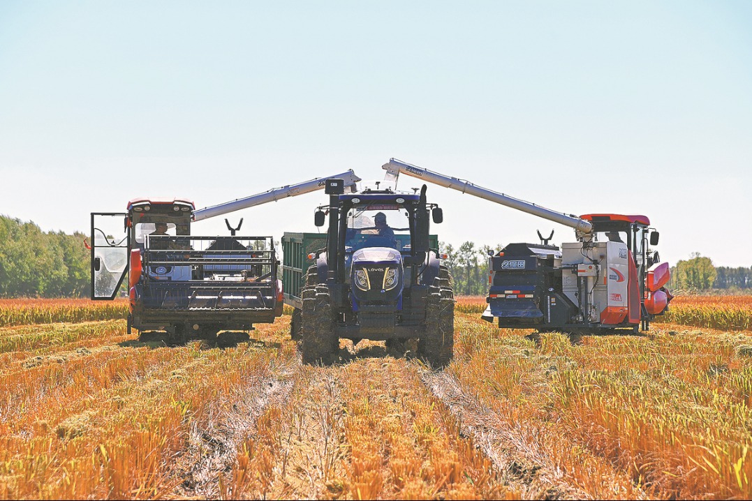 Agricultural technology helps ramp up rice growth