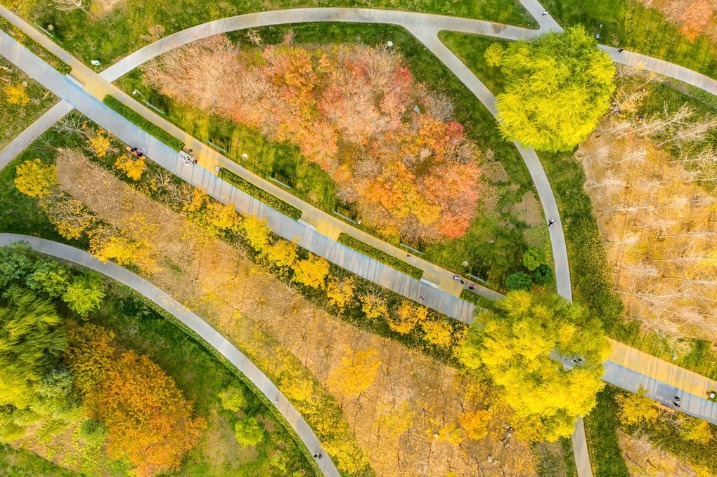 Zhengzhou wetland park in brilliant colors