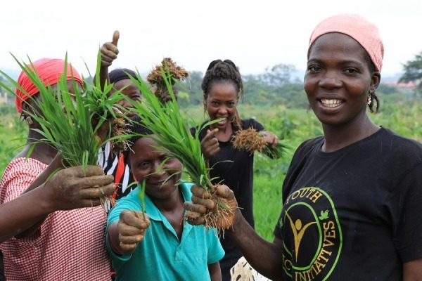 China has benefitted over 1 million African farmer households: minister