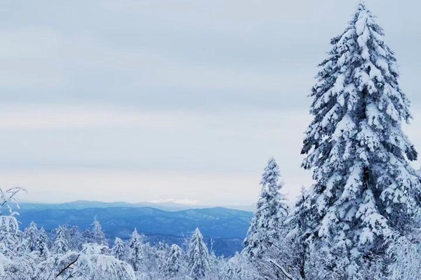 Changbai Mountain transforms into a winter paradise