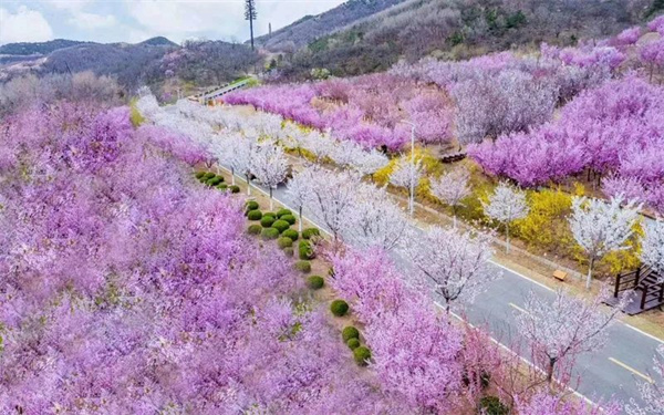 Qingdao tourism resort named provincial eco-tourism area 