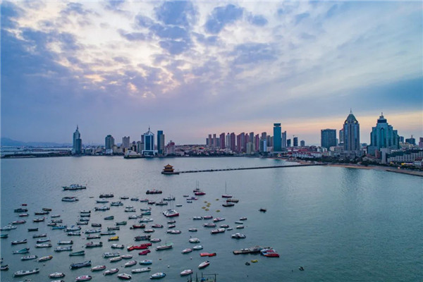 Overseas Chinese seek business opportunities in Qingdao