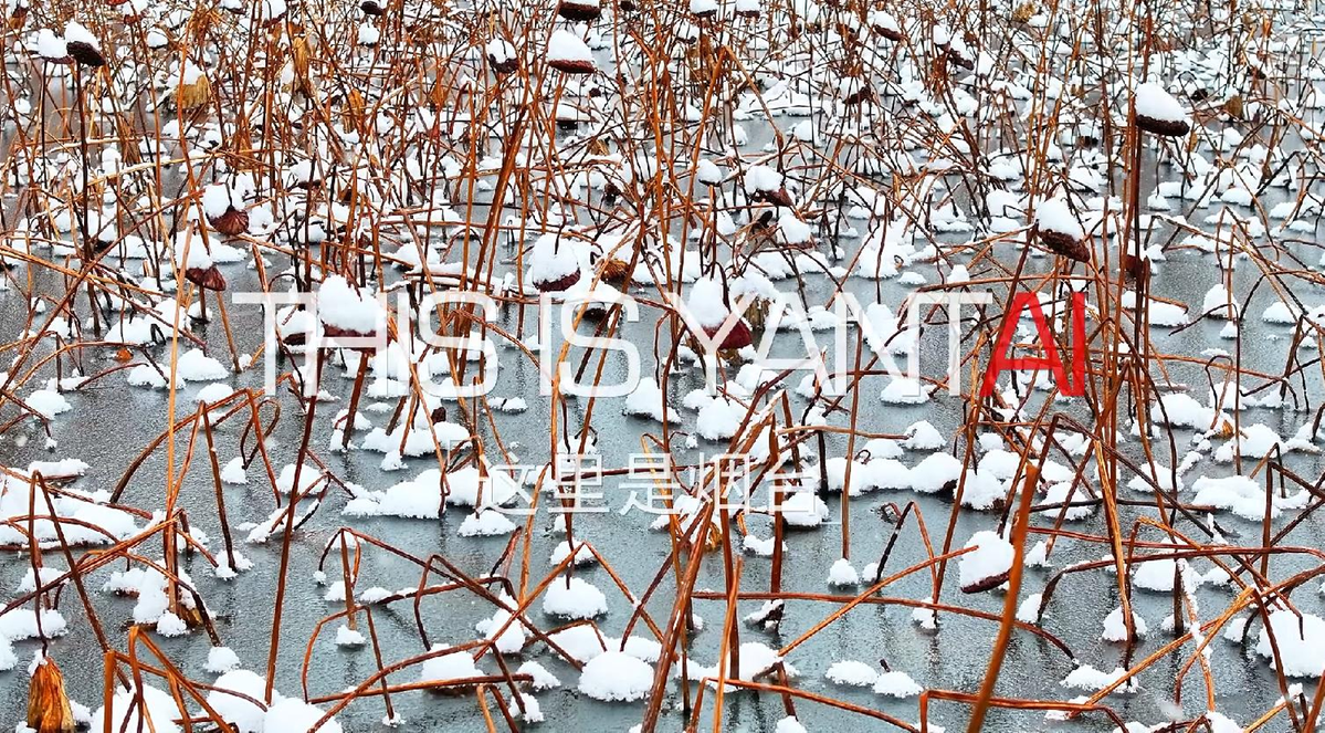 Unveiling majestic beauty of Yuniao River in winter