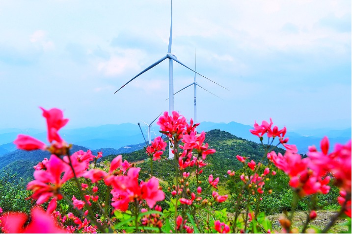 Pangu Mountain tourism development project