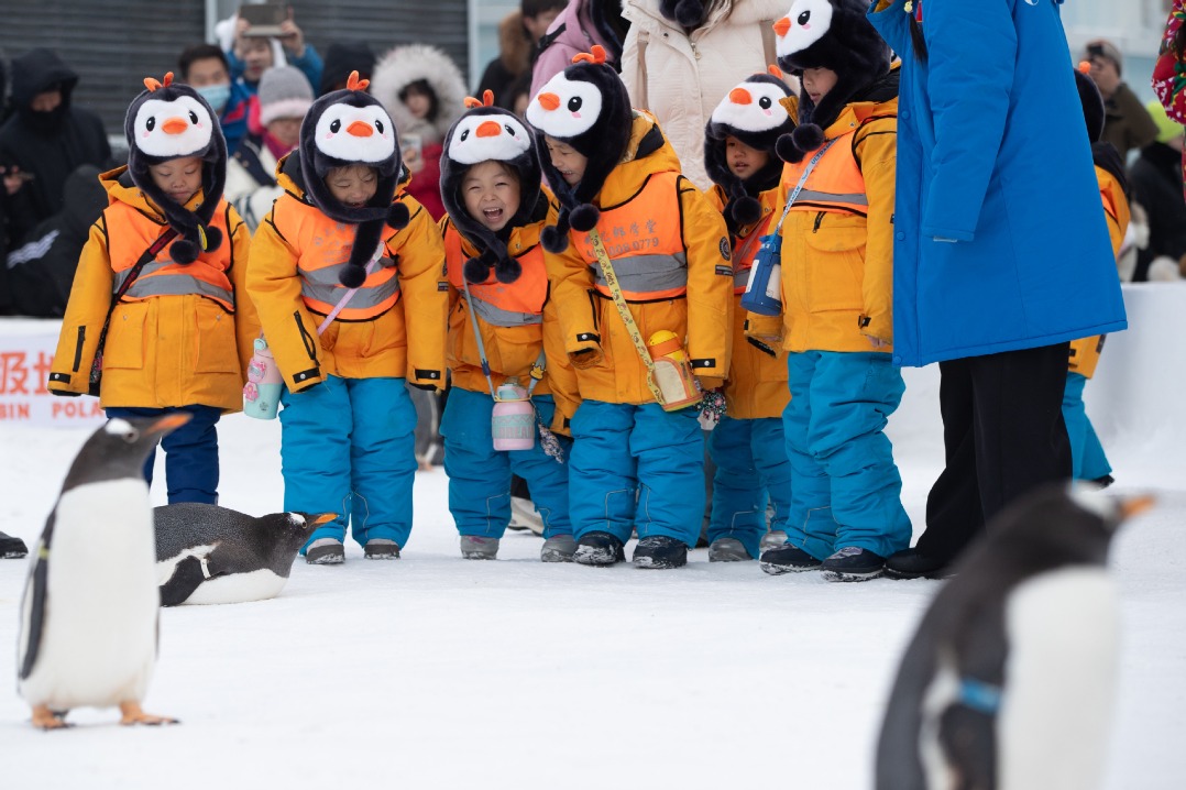 Winter visitors give Heilongjiang warm praise