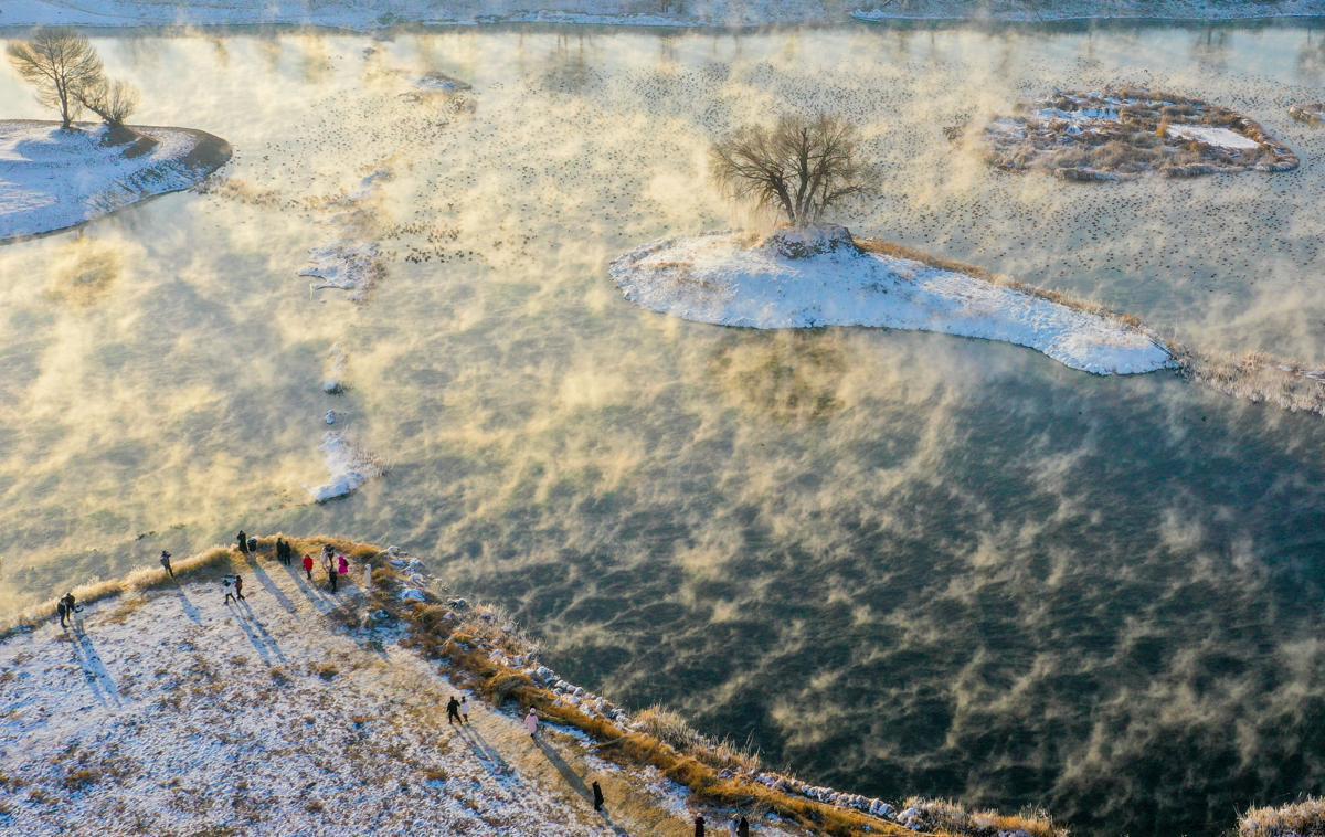 Mist and rime create natural art in Inner Mongolia