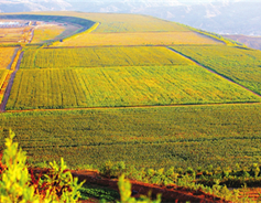 Shanxi promotes high-standard farmland