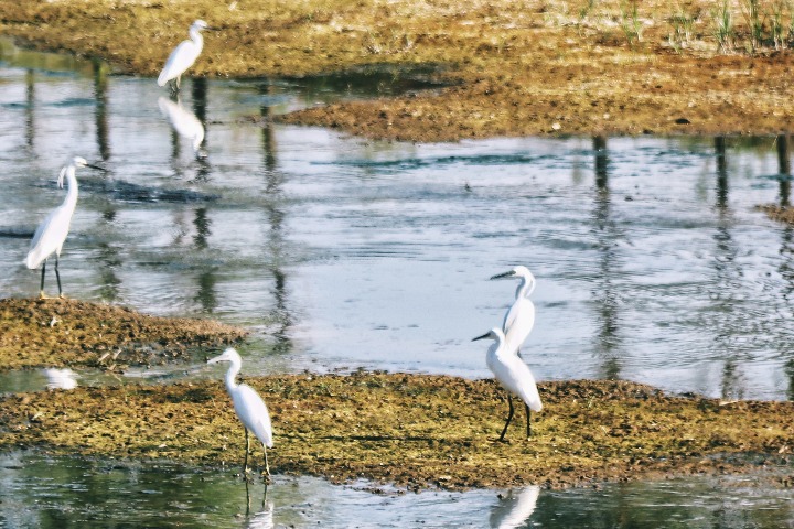 Shanxi issues environmental improvement plan for 2024