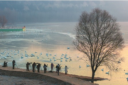 Pakistani student praises China's environmental protection efforts