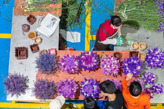 China's Yunnan sees blooming flower export in 2023