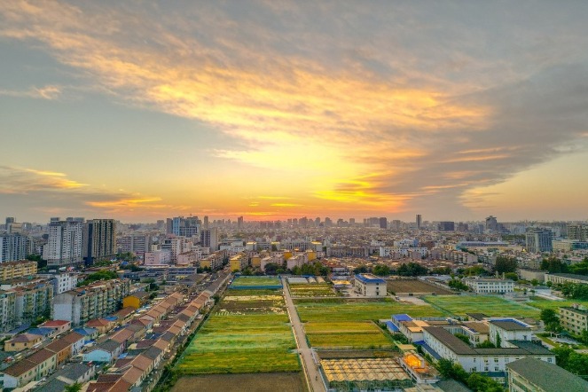 Yangzhou University forges partnerships for talent development along Belt and Road