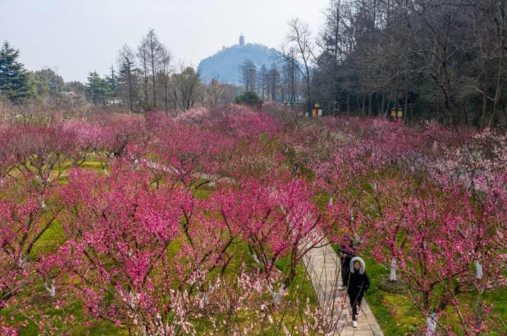 peng changqing.png