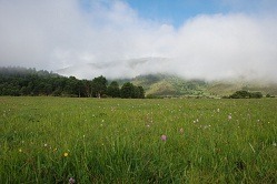 Potatso National Park, Shangri-La