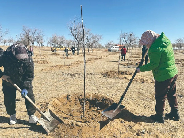 Baotou prevents, controls desertification