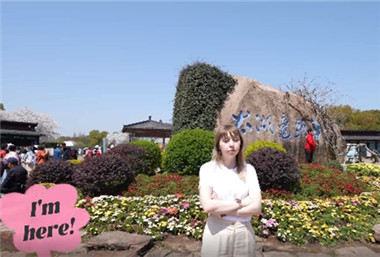 English girl falls under enchanting cherry blossoms 