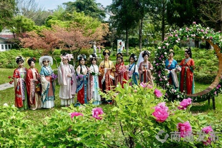 Viewing peonies on Langshan Mountain